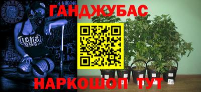 твердый Славгород