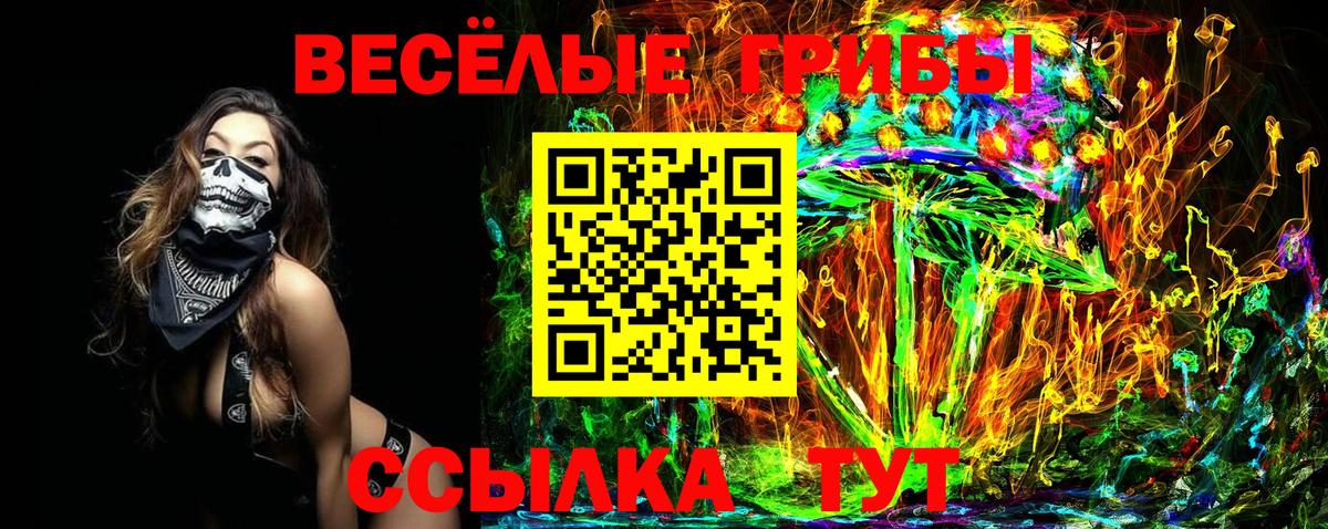 Псилоцибиновые грибы мицелий  Псилоцибиновые грибы Psilocybine cubensis  Сургут  Вход с VPN 