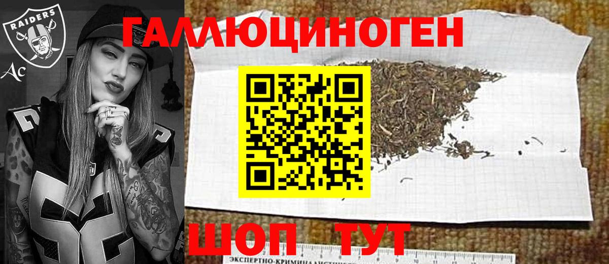 Псилоцибиновые грибы мицелий Сургут